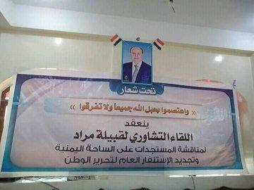 قبائل مراد