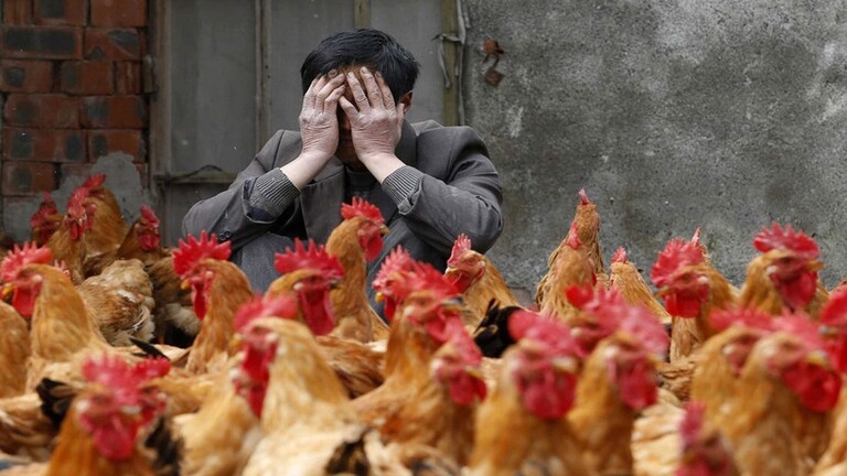 صورة تعبيرية