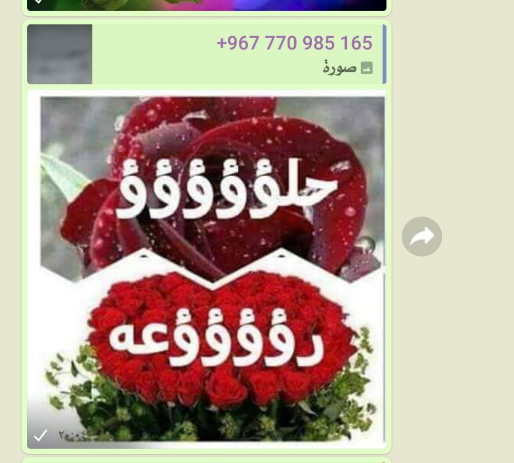 اللاعب فان دي بيك