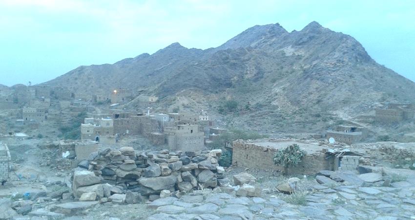 تنظيم