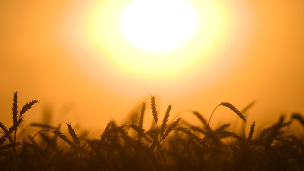 صوره تعبيريه