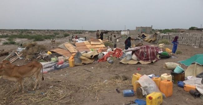 منكوبي السيول