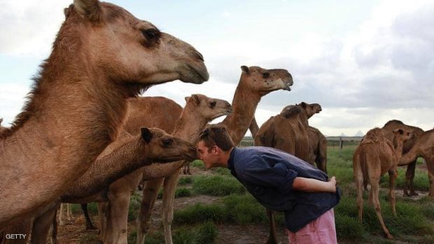 صورة تعبيرية