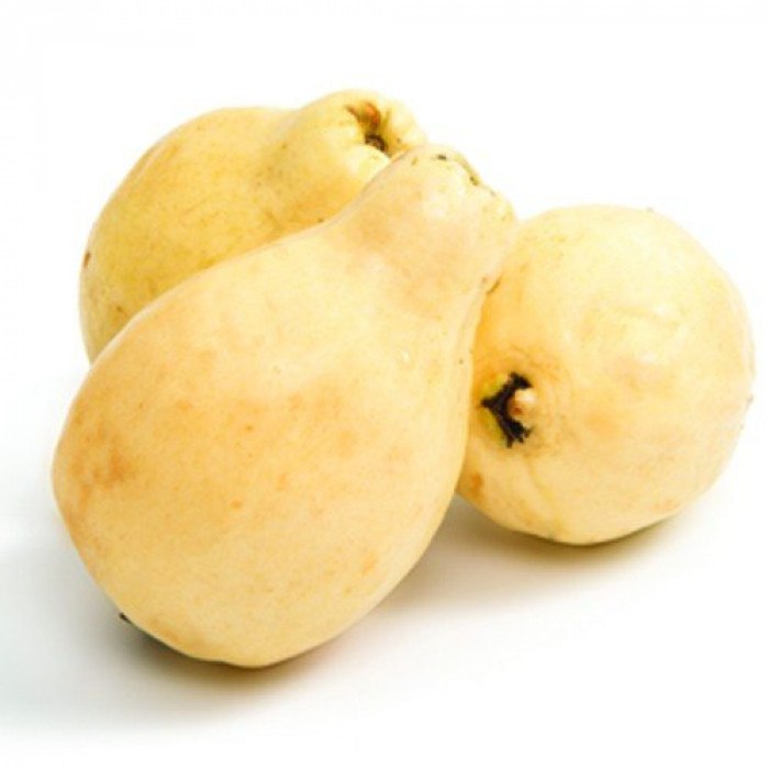الجوافه