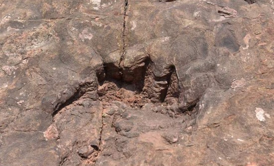 صوره ارشيفيه