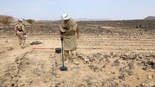 حقول الحوثي للالغام تتوسع في اليمن