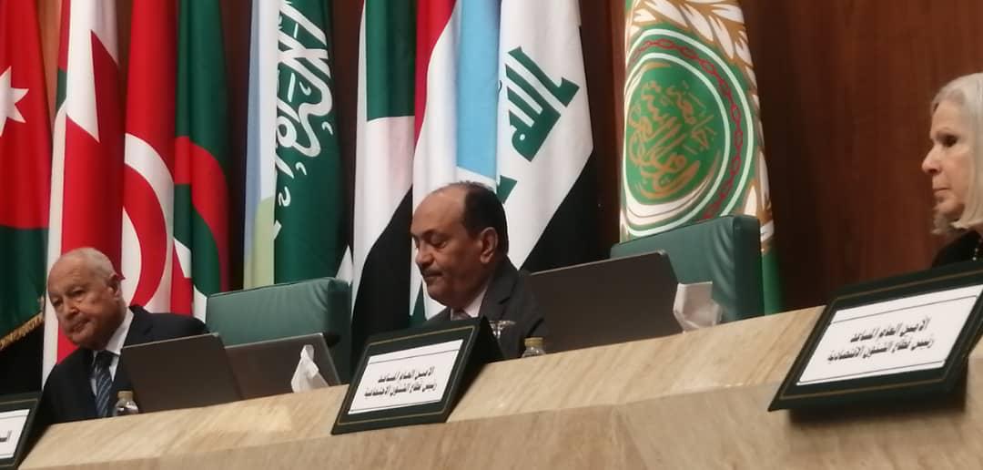 اليمن تشارك في اجتماع المجلس الاقتصادي والاجتماعي في القاهرة