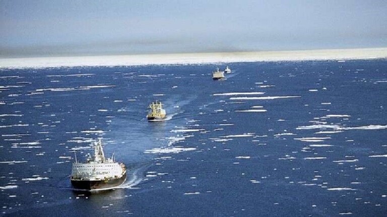 صورة أرشيفيه