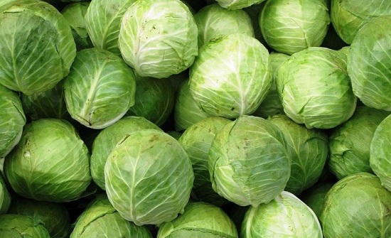 الكرنب