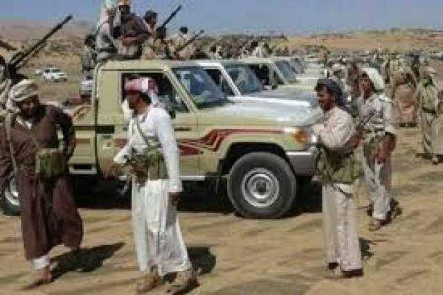 الجيش والقبائل في مأرب