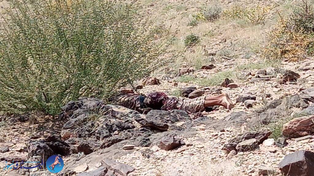 عشرات القتلى في معارك عنيفة بين القوات الحكومية والحوثيين في مأر