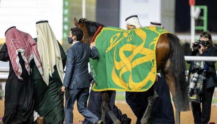 بطل كأس السعودية العالمي للخيل.. 6 معلومات عن الجواد