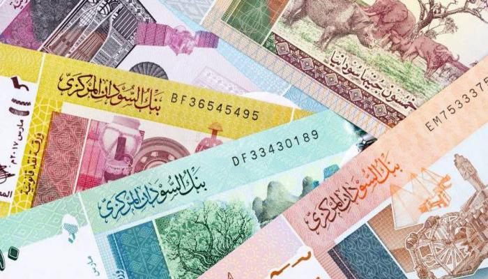 السودان يبدأ مرحلة جديدة من تعويم الجنيه.. هل تنتهي أزمة العملة؟