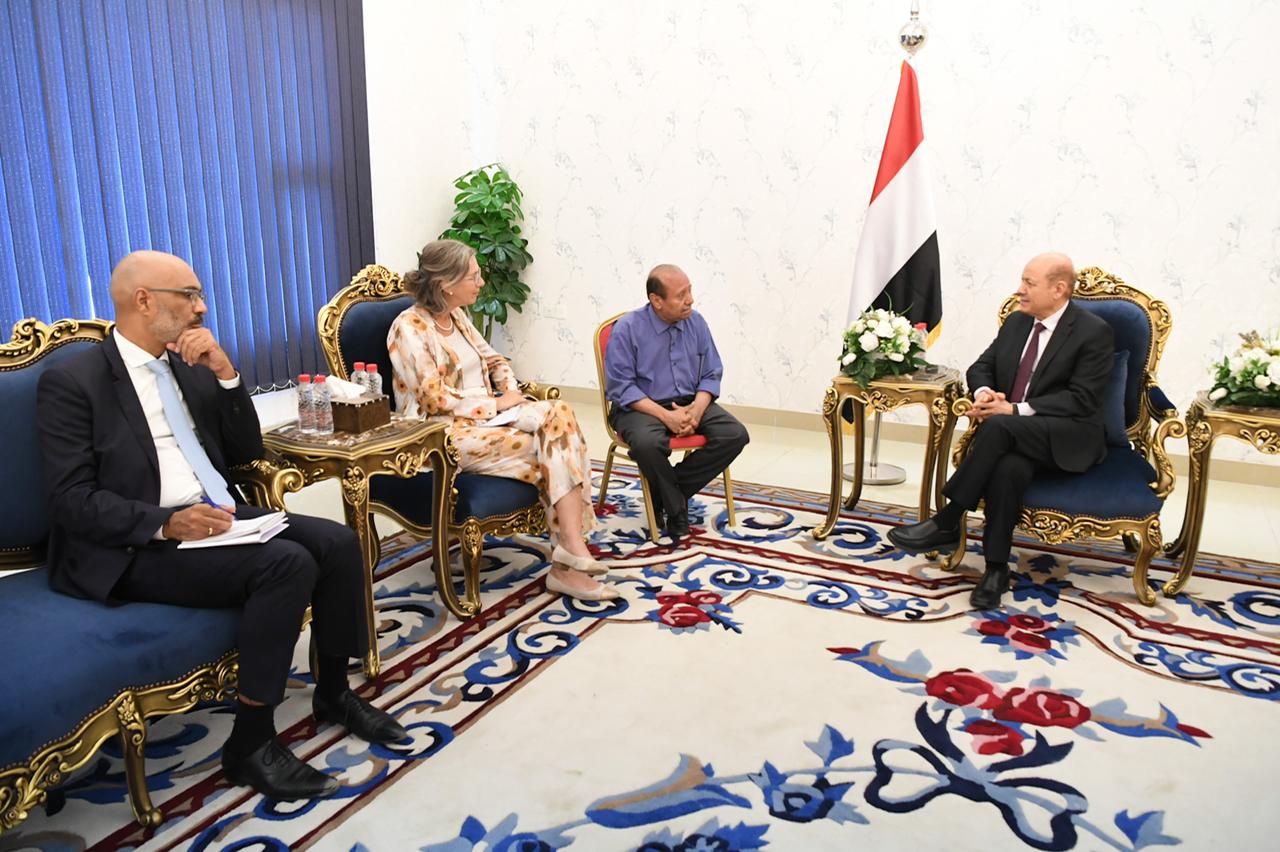 الرئيس العليمي يستقبل وفدا اقتصاديا ودبلوماسيا هولنديا