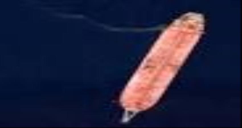 خزان صافر