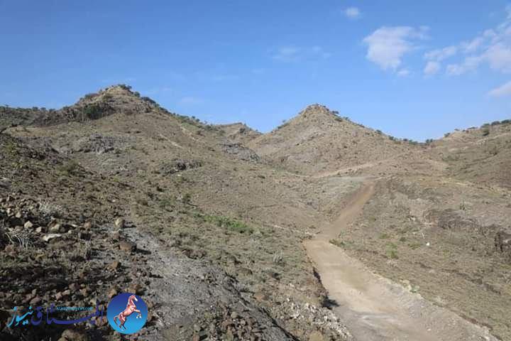 الجيش اليمني يحرر مواقع غرب تعز من يد الحوثي