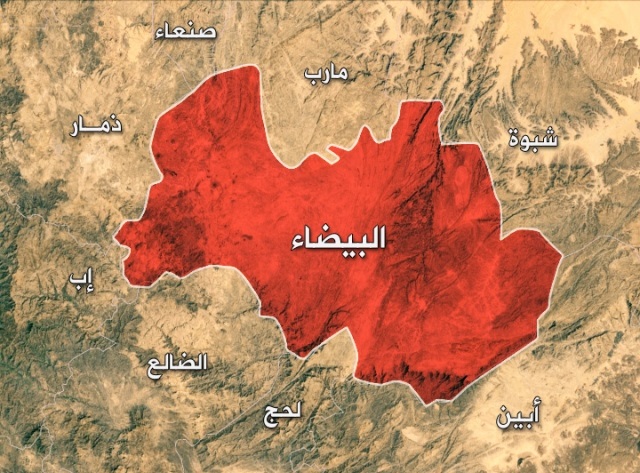 الحكومة الشرعية في اليمن تسند قبائل البيضاء بالوية تابعة لاثنين