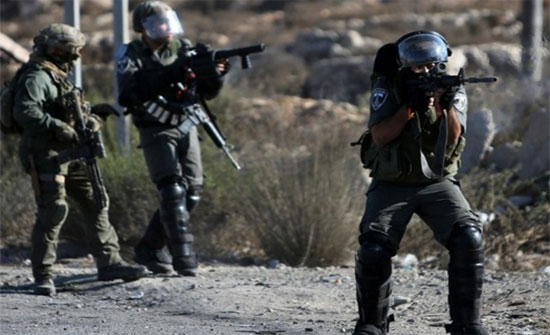 صوره ارشيفيه